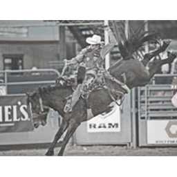 Saddle Bronc Riding